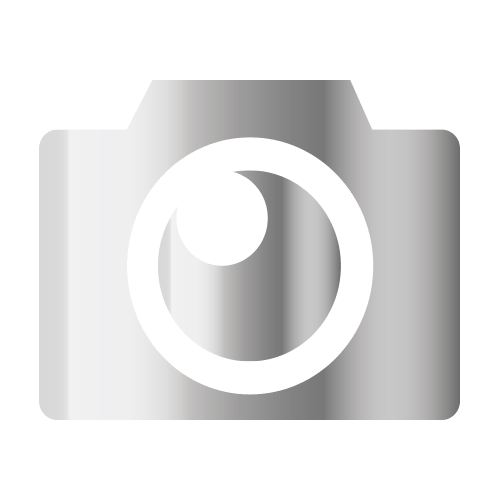 video_icon